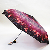  .    ,Ame Yoke Umbrella-3.   . ,,