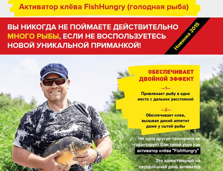 Fishhungry   ̣      