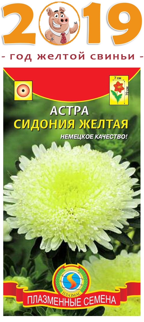 Сбор до 23.12. Плазменные семена. Теперь и семена в белых пакетах!-26. Томаты, астры, баклажаны, петунии и много чего интересного! Начинаем готовиться к новому сезону! Все в наличии! Есть все для рассады Сбор до 23.12. Плазменные семена. Теперь и семена в белых пакетах!-26. Томаты, астры, баклажаны, петунии и много чего интересного! Начинаем готовиться к новому сезону! Все в наличии! Есть все для рассады