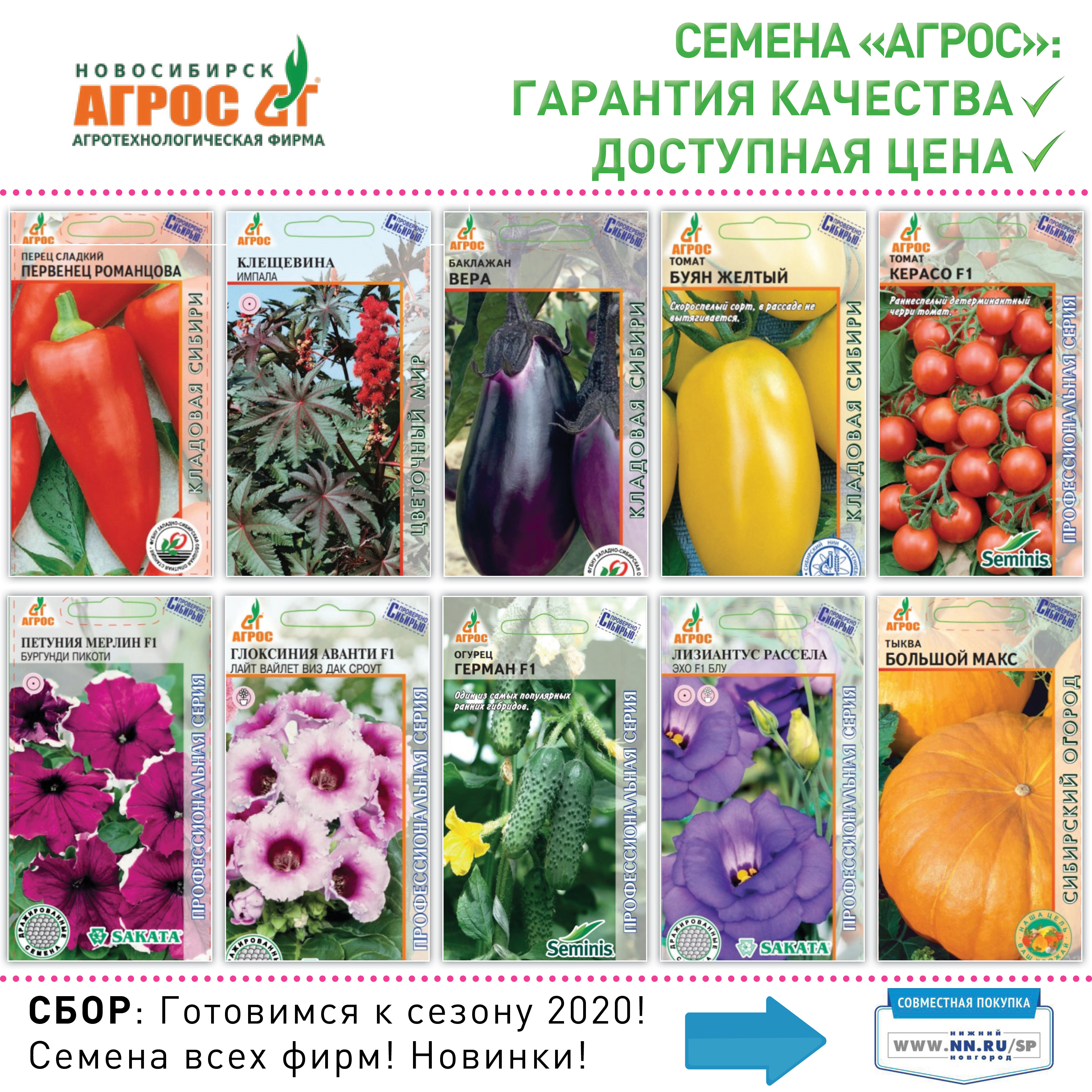 Где Купить В Новосибирске Семена