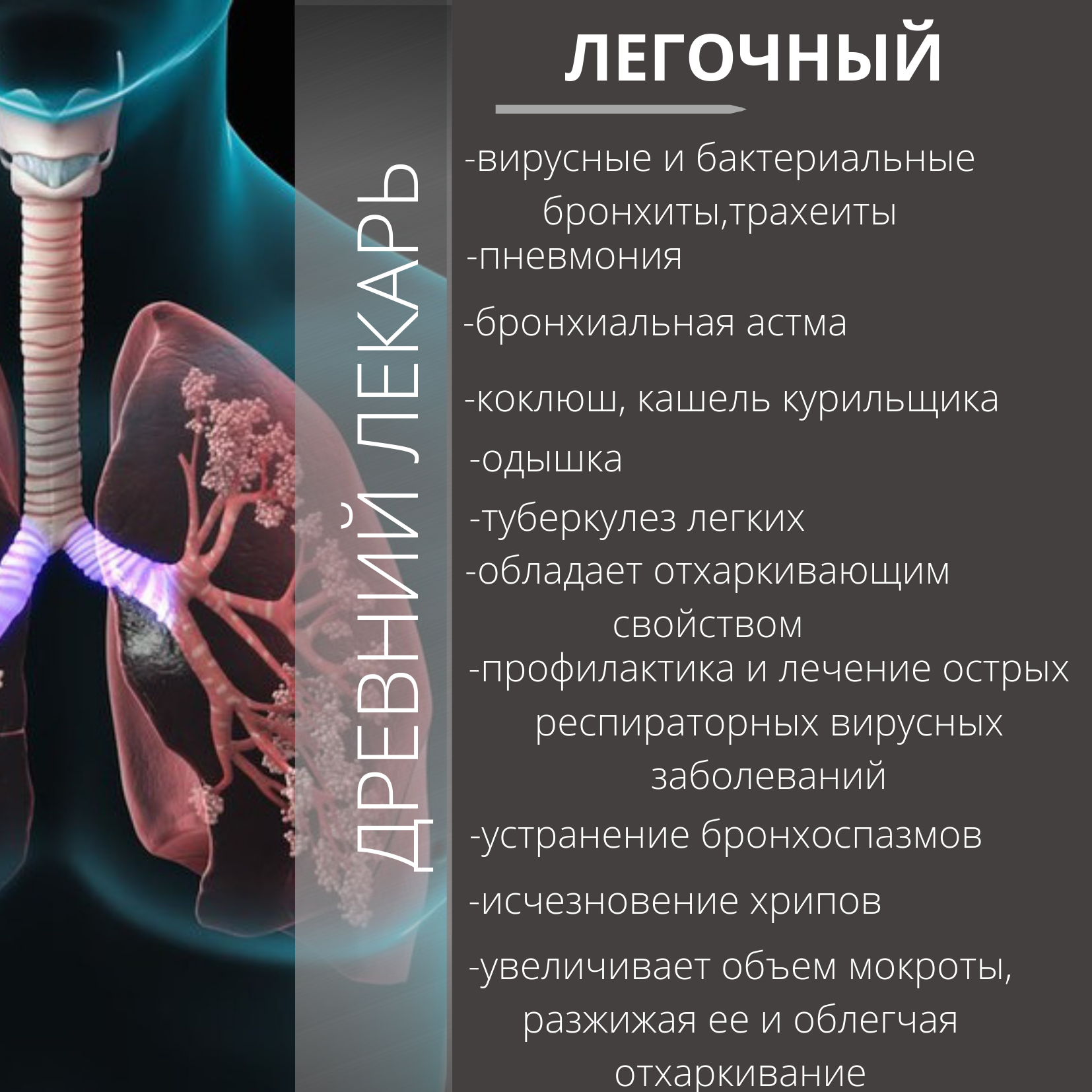 Приступе Трахеита – Telegraph