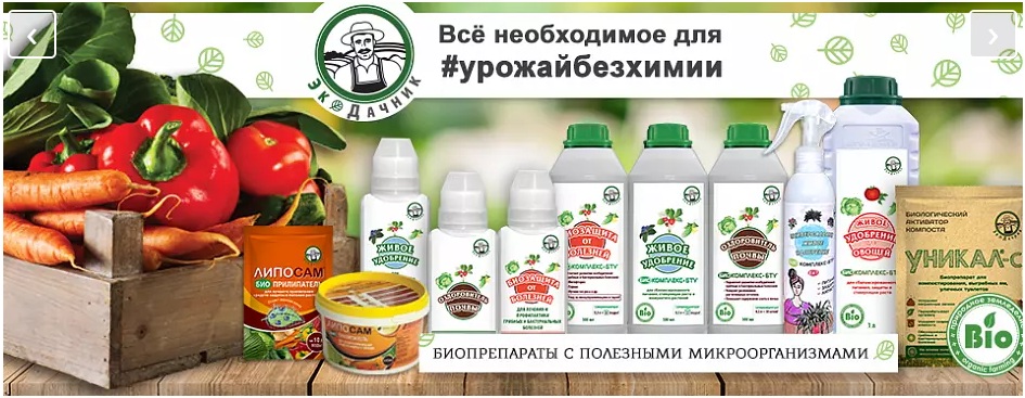 Агрохолдинг Поиск Каталог На 2023 Интернет Магазин