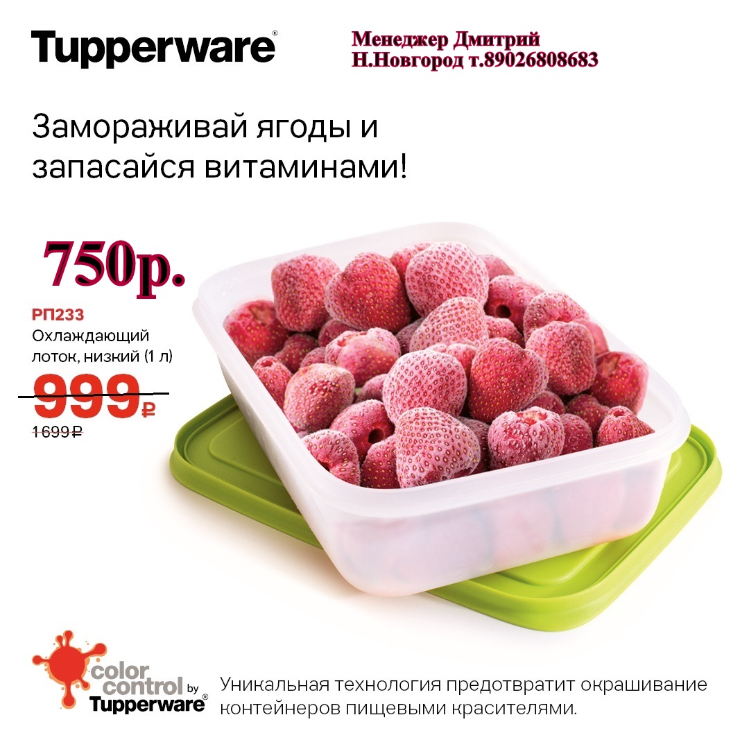 Tupperware    1  - 750 . (..  +79026808683) 