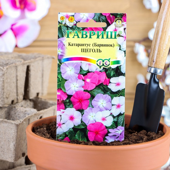 НОВИНКИ Семена однолетних цветов: Катарантус НОВИНКИ Семена однолетних цветов: Катарантус