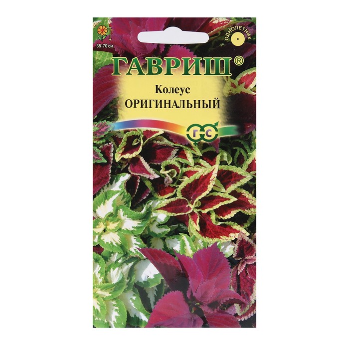 НОВИНКИ Семена однолетних цветов: Колеус НОВИНКИ Семена однолетних цветов: Колеус