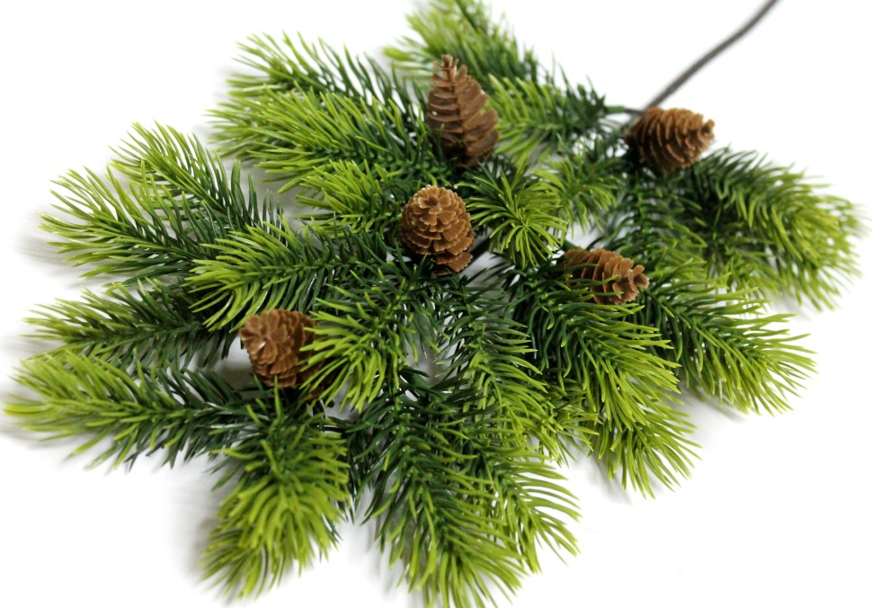 НОВОГОДНЯЯ ФЛОРИСТИКА! Ветка ель 5 шишек "Байкальская"45см - СВОБОДНО 9 ВЕТОК! 129 РУБ.+%! НОВОГОДНЯЯ ФЛОРИСТИКА! Ветка ель 5 шишек "Байкальская"45см - СВОБОДНО 9 ВЕТОК! 129 РУБ.+%!