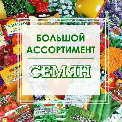 Семена для отличного урожая! Огромный выбор! 25-8 Семена для отличного урожая! Огромный выбор! 25-8