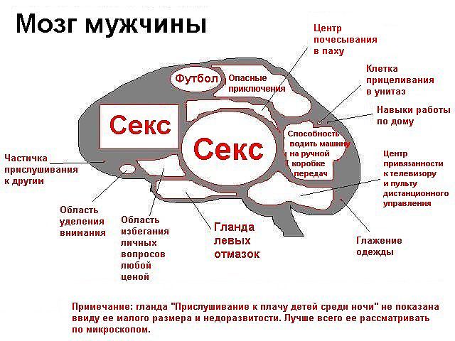Эрогенные Зоны Водолеев эрогенные зоны водолеев