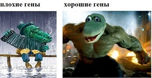 Грибок на гениталиях как лечить