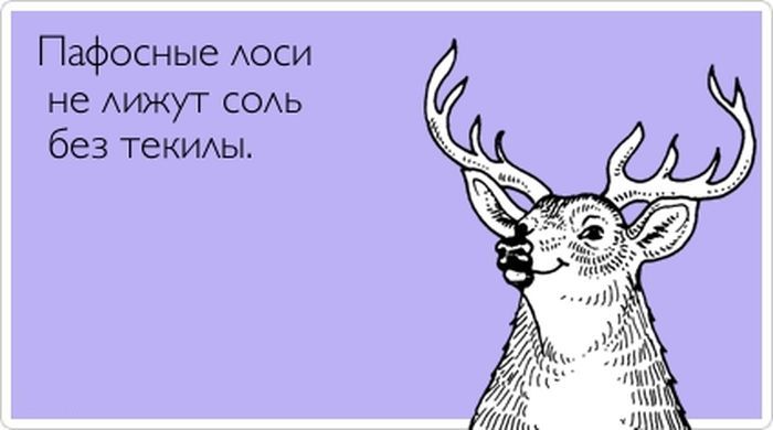 Поздравление С Днем Рождения Про Лося