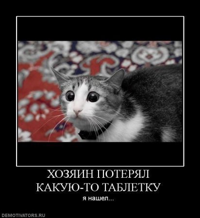 34895009-x_9caf80bf.jpg