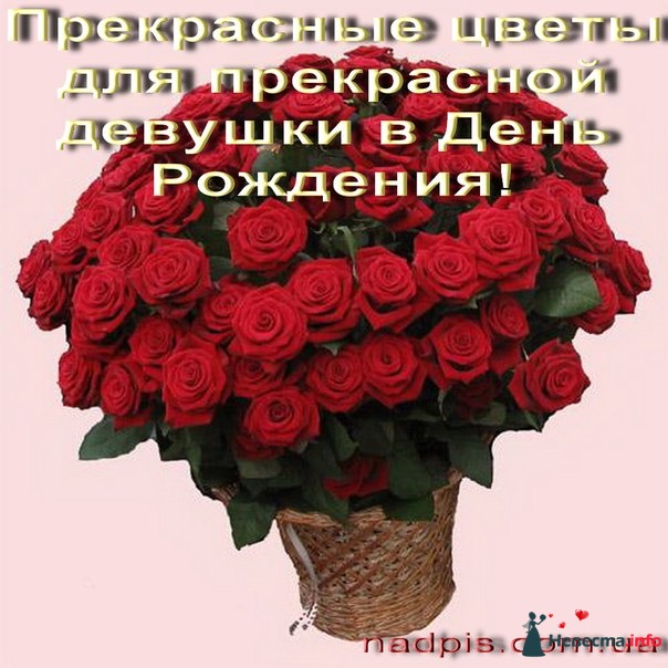 Мои Поздравления Какая Модель Мои Поздравления Какая Модель