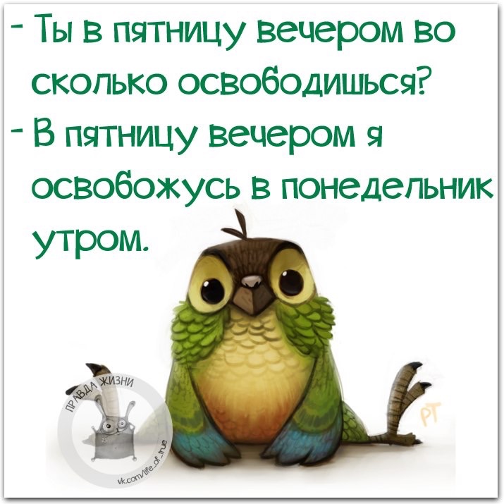 Прикольные картинки для поднятия настроения бесплатно