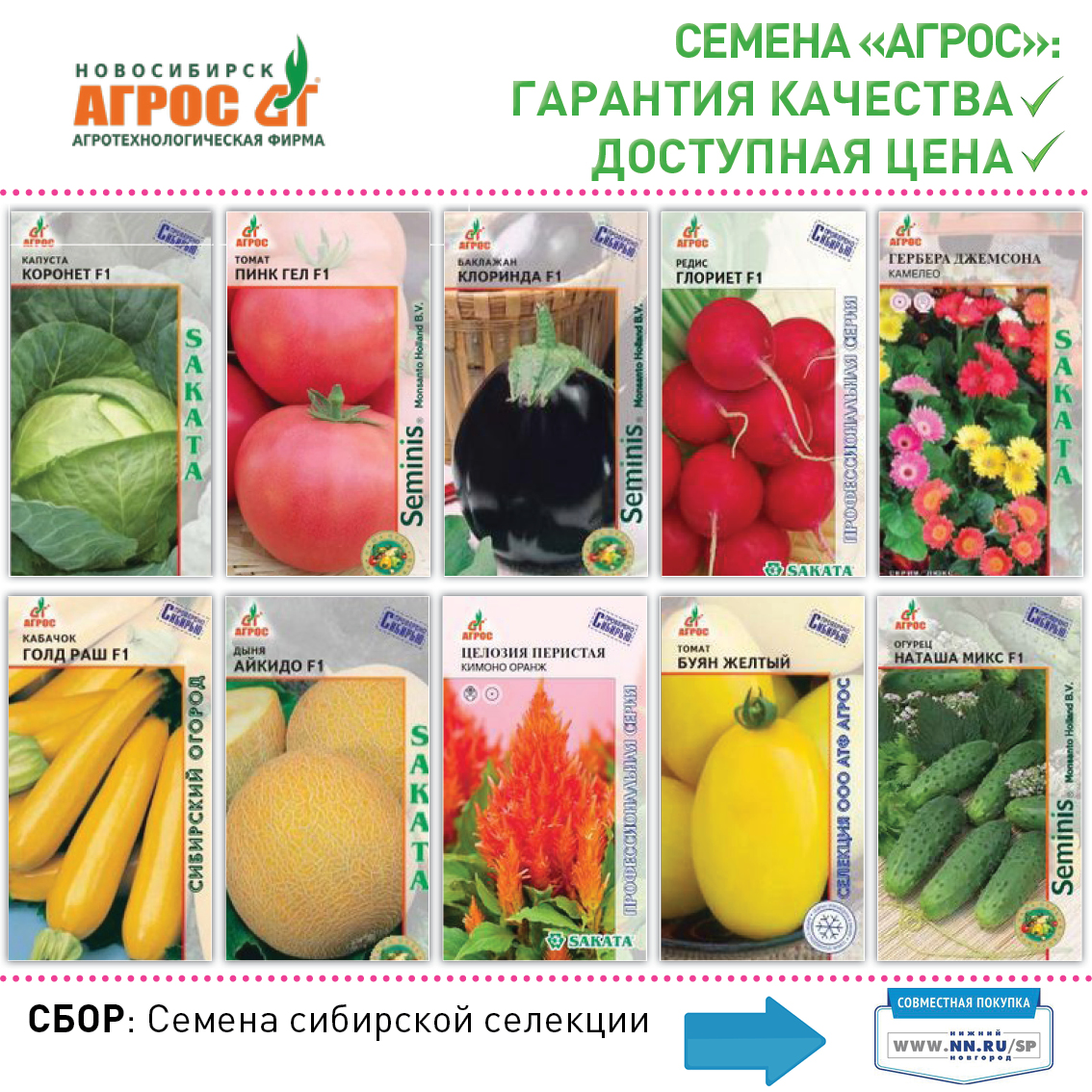 Где Купить Семена Новосибирск