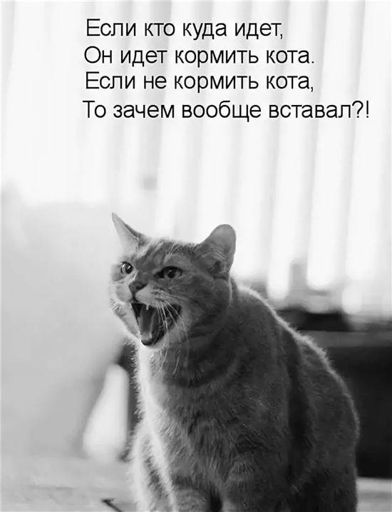 Картинки Кот Не Уходи На Работу