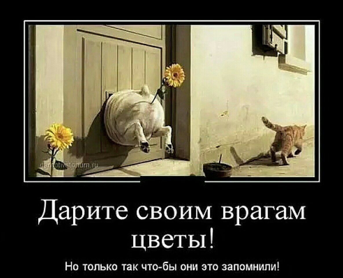 Кот дарит цветы мем