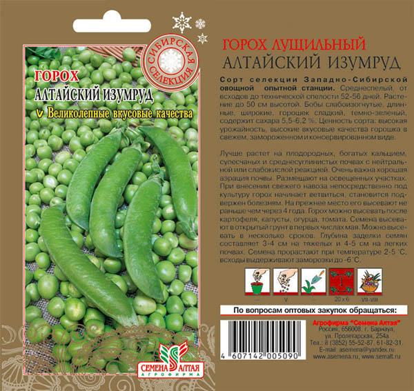 Где Купить Семена Алтая В Новосибирске