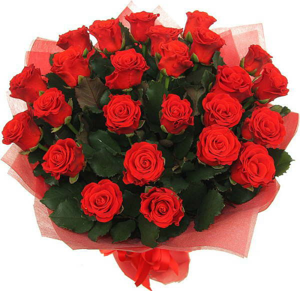 Поздравления С Днем Рождения Алые Розы