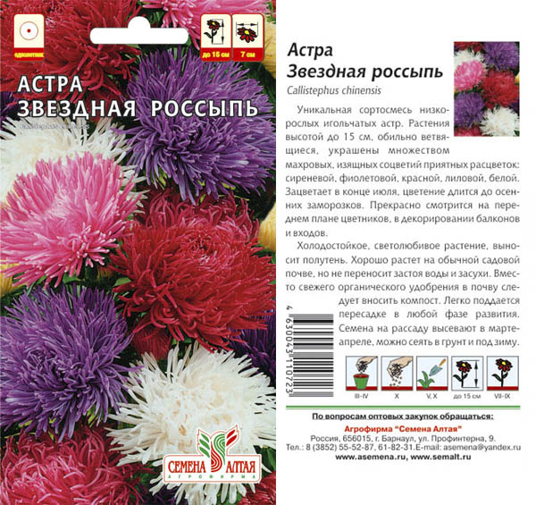 Цветы астра описание