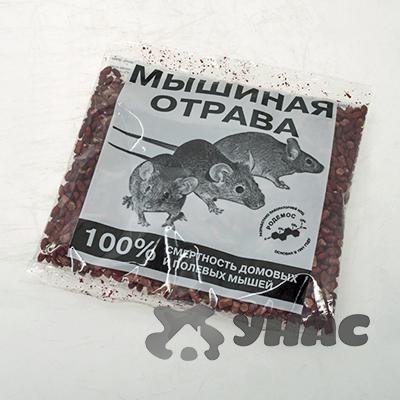 Своими руками яд для животных Своими руками яд для животных