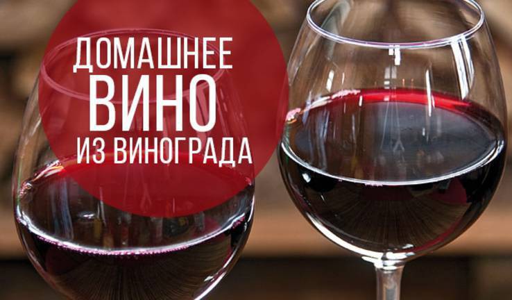 Как сделать домашнее вино с красного винограда