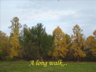 Long Walk (Stu Phillips)