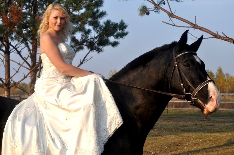 Лошади на свадьбе – это оригинальн...