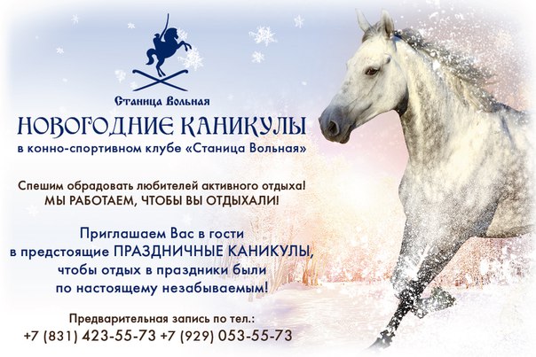 Новогодние каникулы в конно-спортивном клубе Станица Вольная