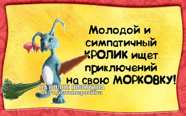  ,  ,  ,     -  . ()   