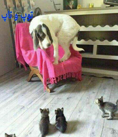          , , ,     ..