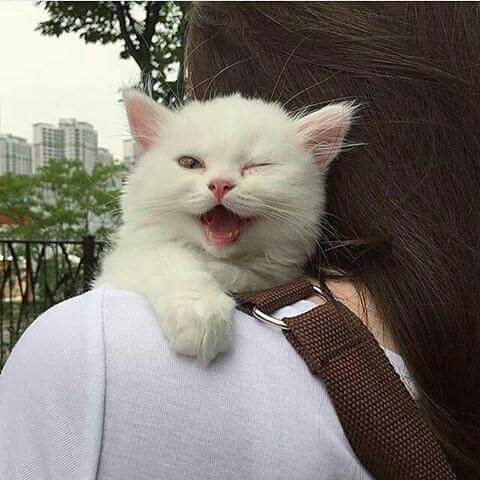  -   ...