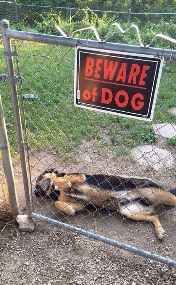 &#8220;,  &#8221;