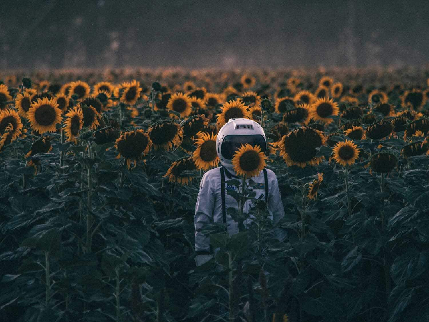    ... (. . ).