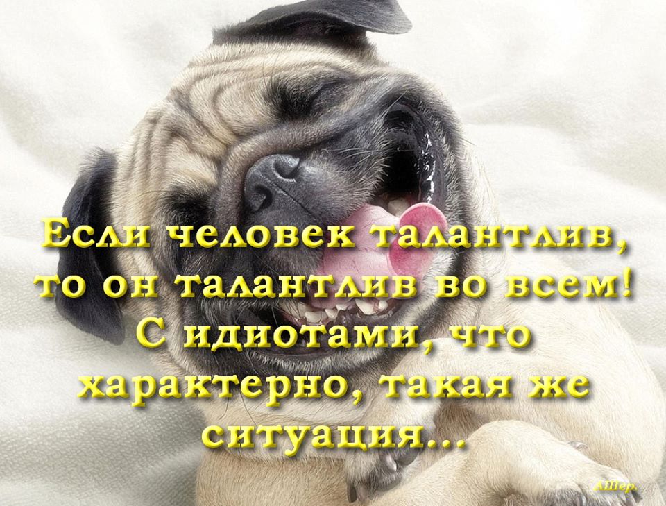   -        !