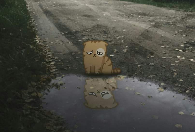  ...     ...  ...
