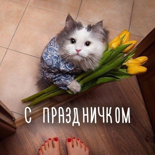        -  8 ! , , !