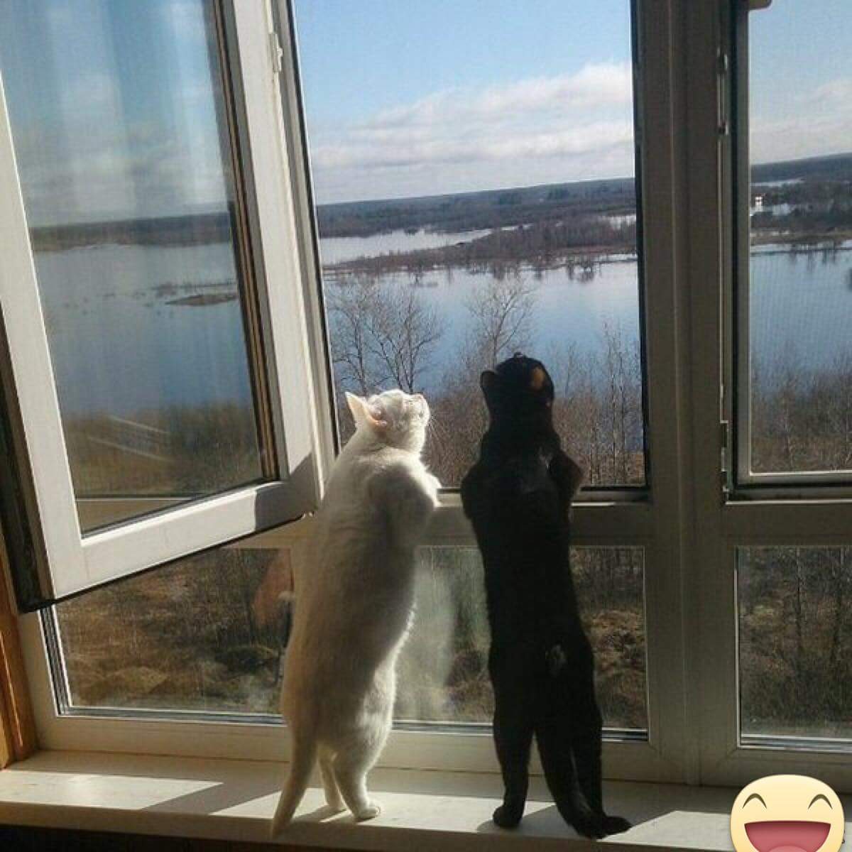 !