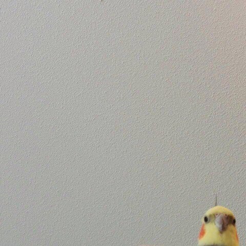      ,      ,  ,       .