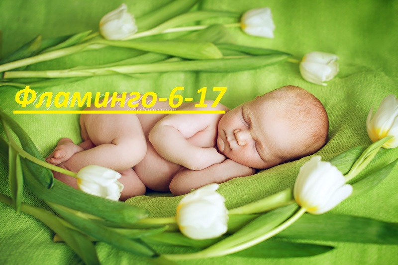 Ребенок. Зелёный ребёнок. Фото малышей до года. Фотосессия новорожденных горошек. Новорожденный зеленый.