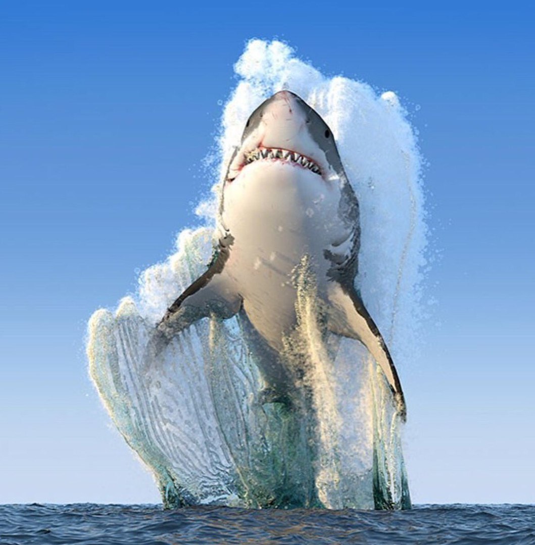     National Geographic