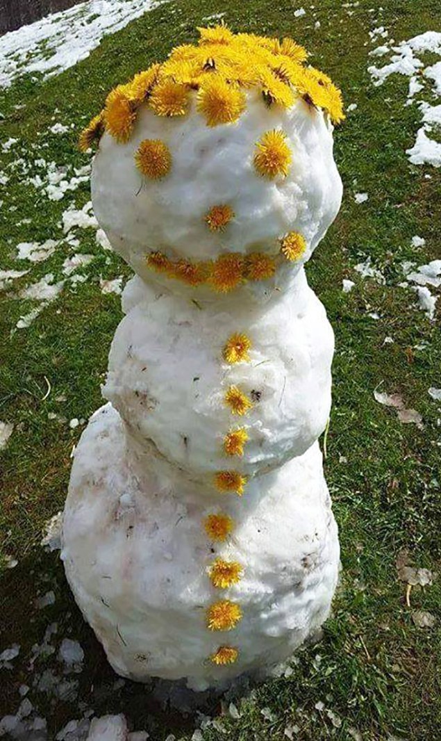 Маевик :)