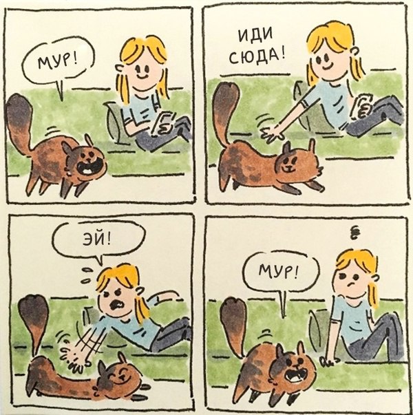     ,    ,   .