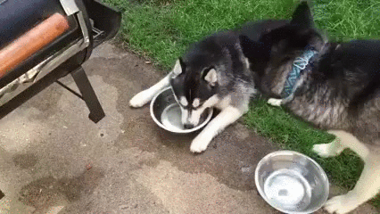   ,    