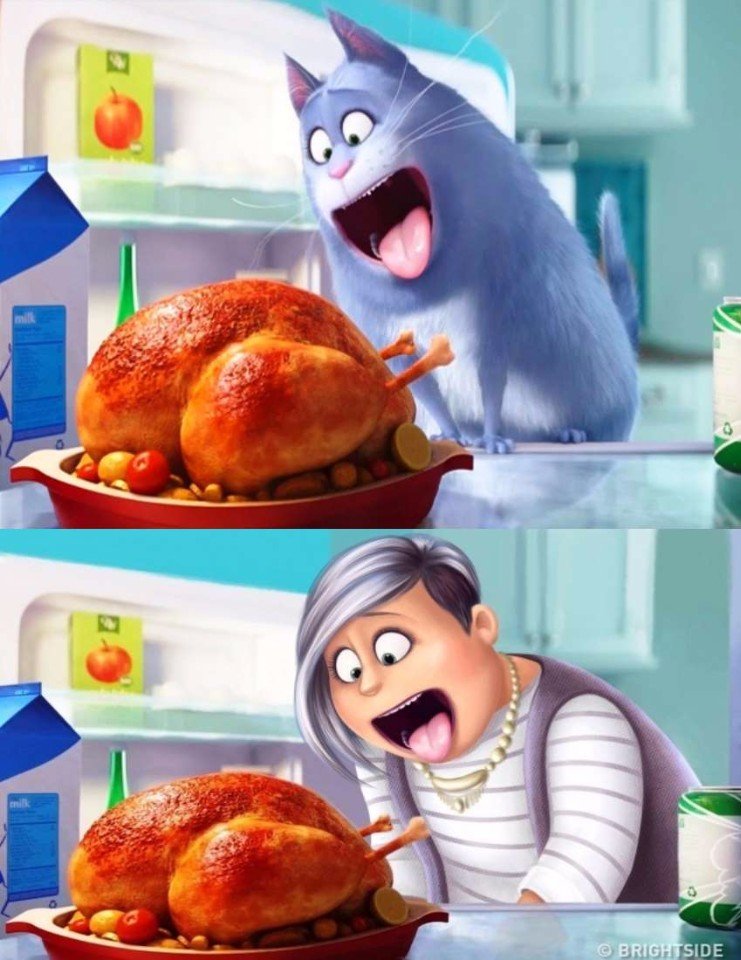     ,    ?