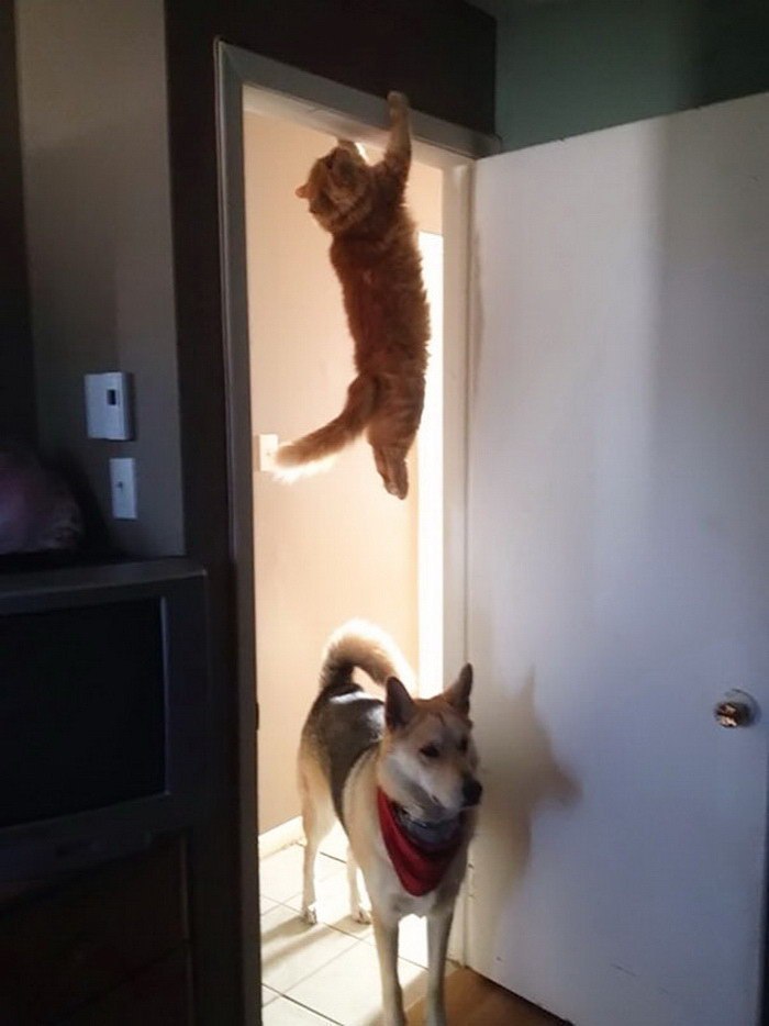     -,  !