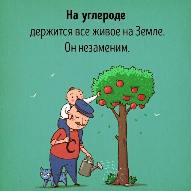     ,    :