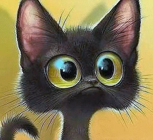    -!!))) 