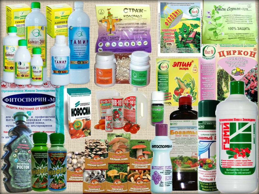 Химия в саду и огороде картинки