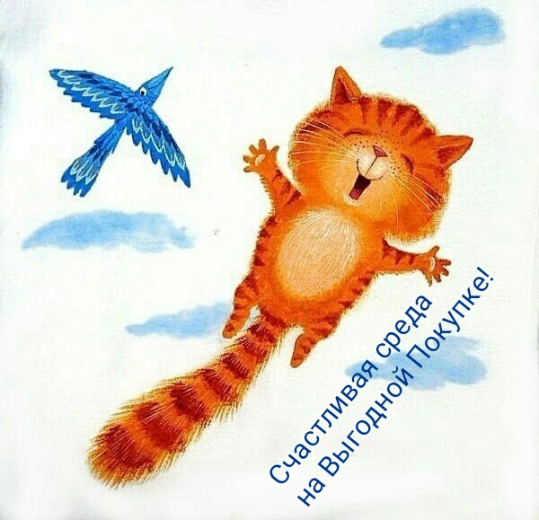     !