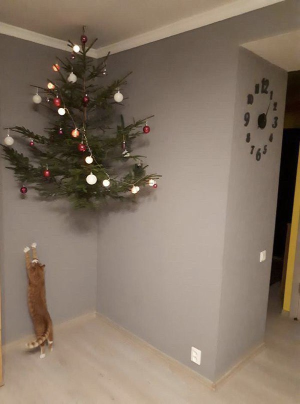  , ...